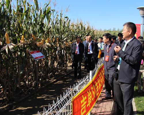 吉農(nóng)高新公司參加第十一屆全國(guó)系列報(bào)道四